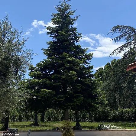 Panzió Il Trullo Di Giulietta