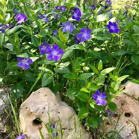 Il Trullo Di Giulietta Panzió 3*