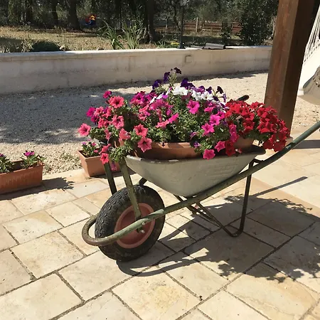 Bed & Breakfast Il Trullo Di Giulietta 3*