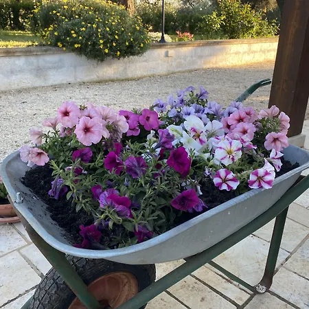 Il Trullo Di Giulietta Impalata