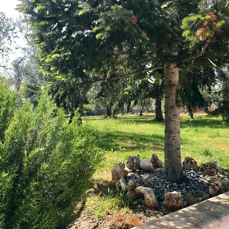 Il Trullo Di Giulietta Bed & Breakfast 3*