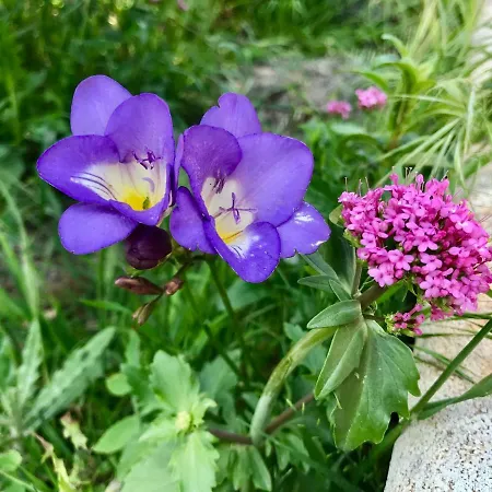 Il Trullo Di Giulietta