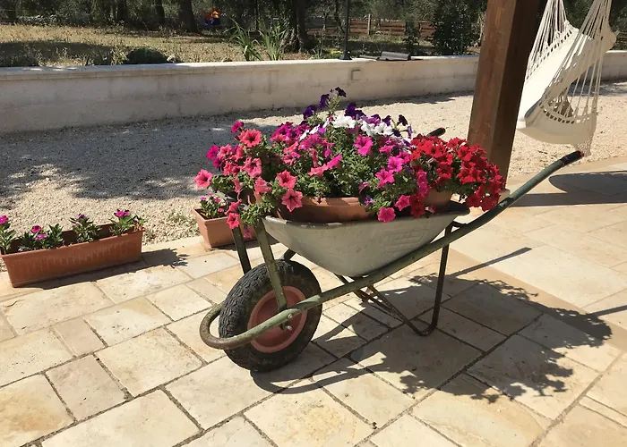 Bed & Breakfast Il Trullo Di Giulietta 3*