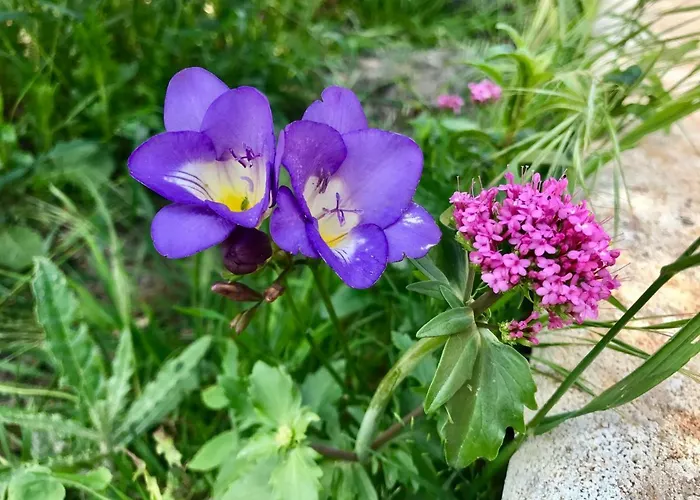 Il Trullo Di Giulietta